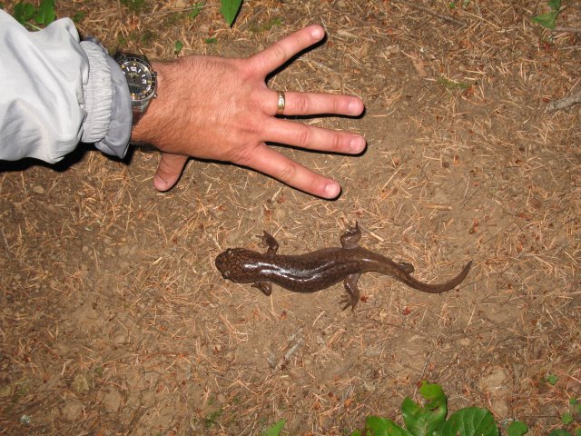 8.10.06 Rock of Ages Ridge 055 